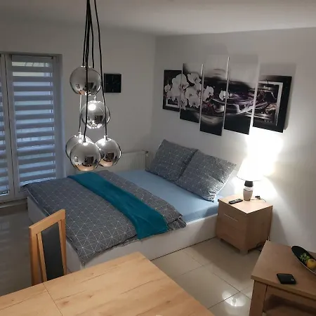 Private Rest - Kameralny Szombierki 2-room Shared * ビトム